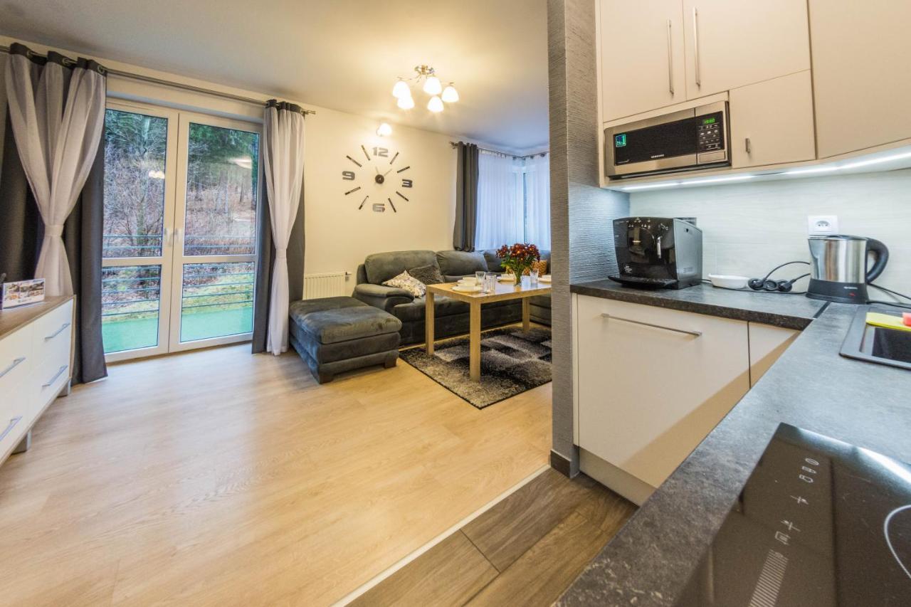 Apartamenty Izerskie - Ul. Cicha 13D-E Świeradów-Zdrój Eksteriør bilde